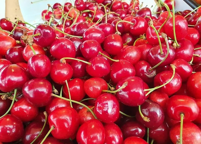 Penthouse Duplex Nina - Seaview 250m To And Restaurants - Free Parking - And Ciovo - 15 Minutes To Airport 公寓 特罗吉尔