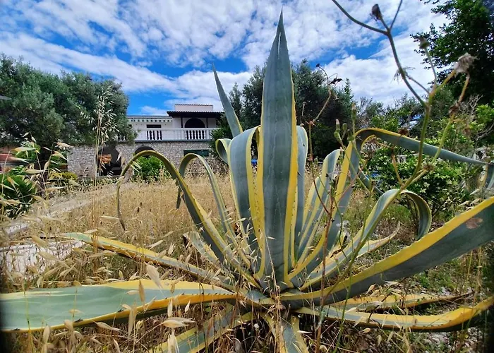 公寓 Penthouse Duplex Nina - Seaview 250m To And Restaurants - Free Parking - And Ciovo - 15 Minutes To Airport 特罗吉尔